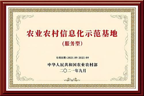农业农村信息化示范基地（服务型）